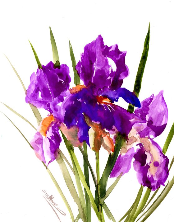 Deep Purple iris Flowers Watercolour by Suren Nersisyan | Artfinder