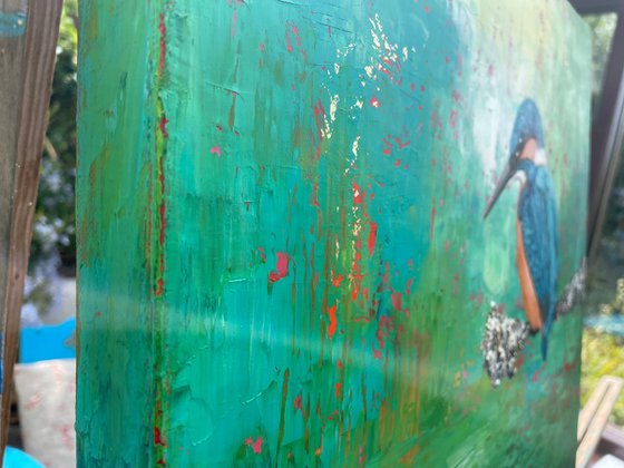 Kingfisher by the River
