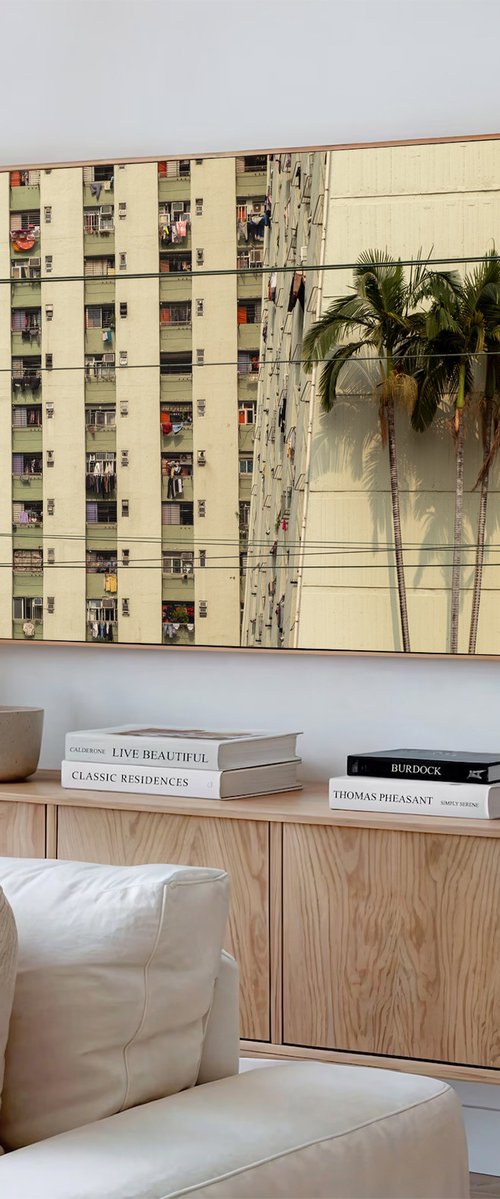 Concrete, Palm Trees and Power Lines by Serge Horta