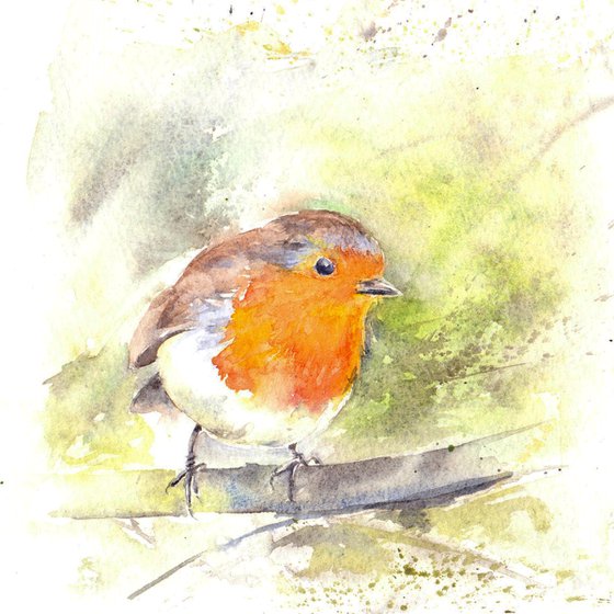 Robin