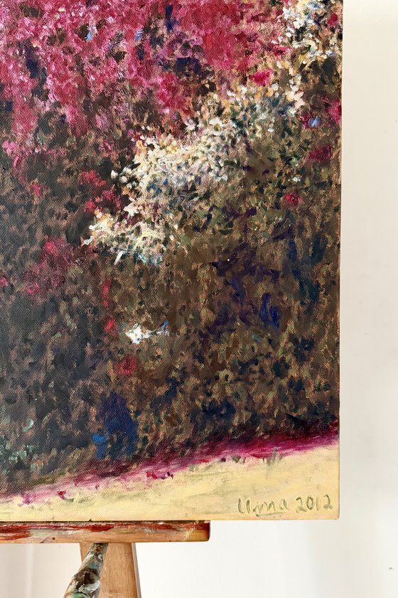 Bougainvillea