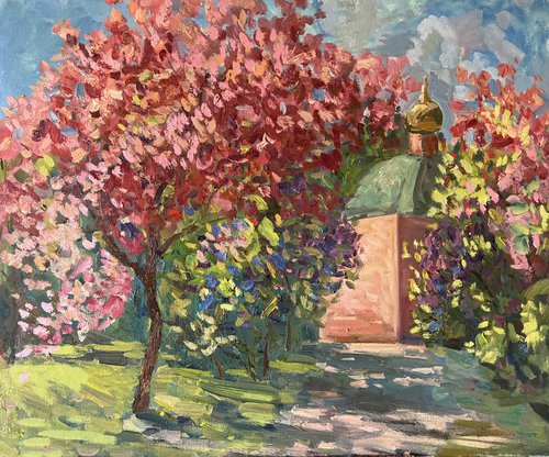 Landscape Cherry blossoms by Anna Novick