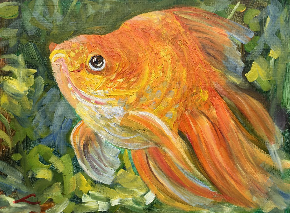 Impressionistic Animal Oil Painting By Elena Sokolova, 16 X 12, Goldfish, Original Artwork