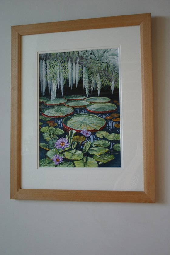 Jungle Water Lilies