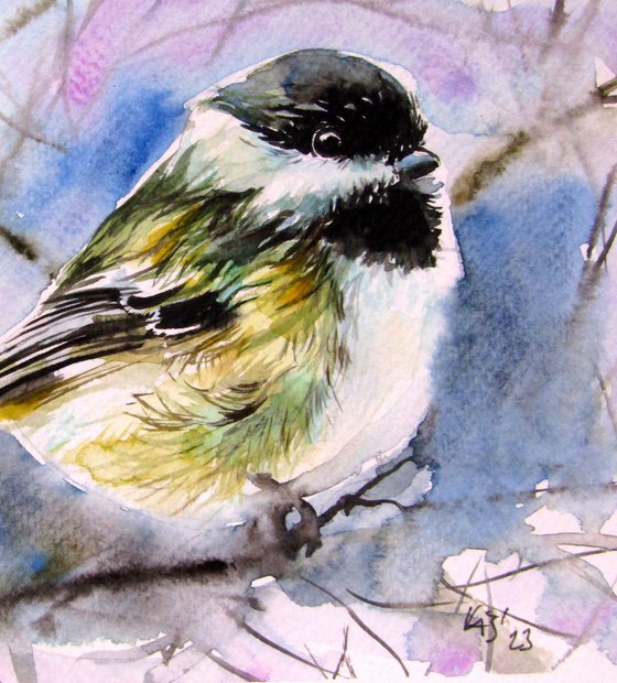 Great tit