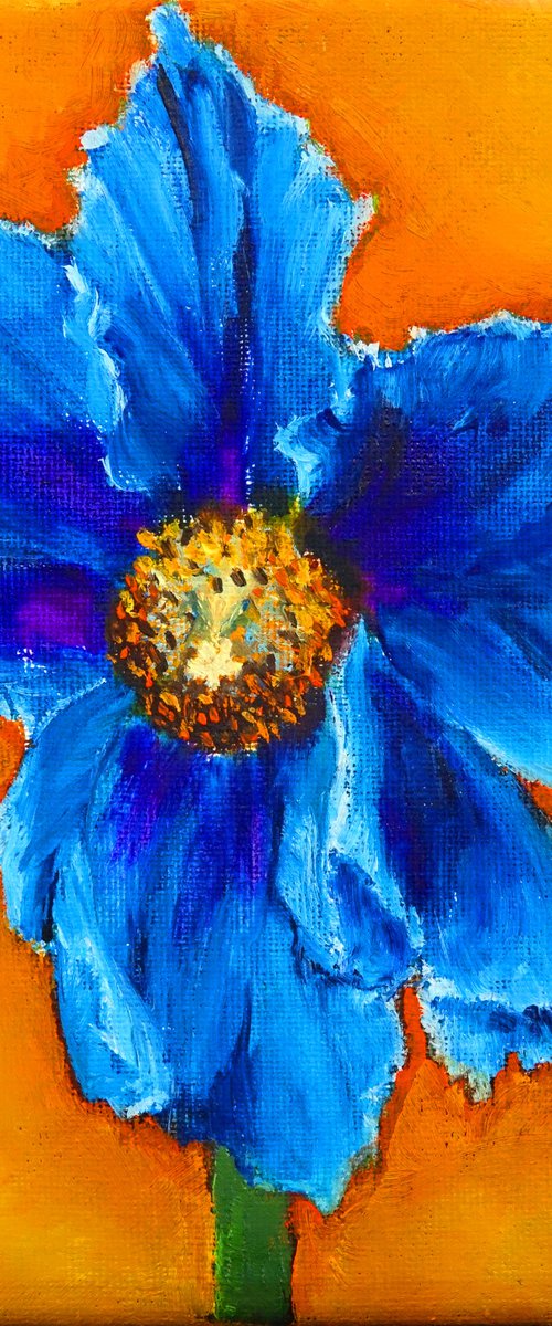 Blue Poppy by Marion Derrett