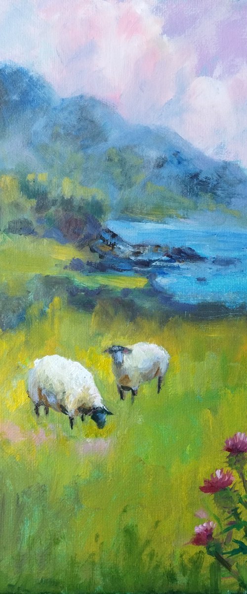 Scottish landscape, sheep on pasture by Ann Krasikova