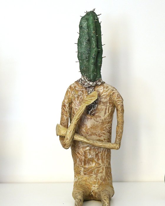 MR.CACTUS