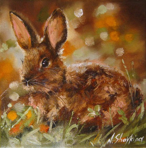 Rabbit by Natalia Shaykina