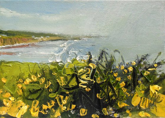 Looking back to the Beach over Gorse