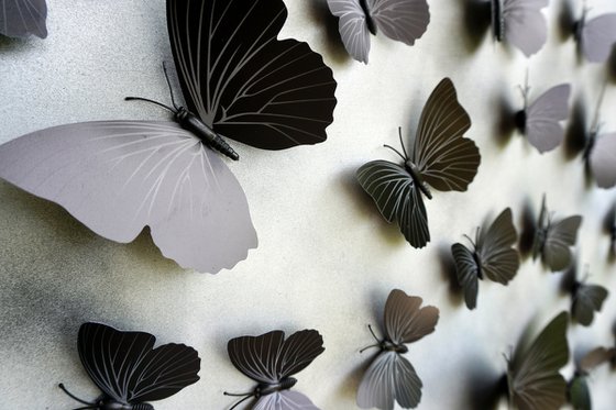 Wall Sculpture Butterfly Park 8