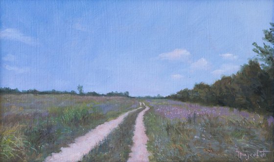 Road Through the Field