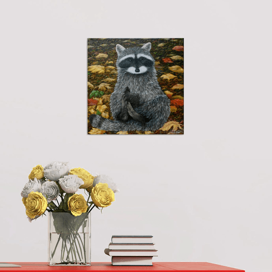 Raccoon