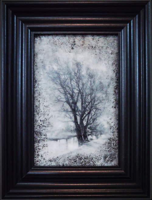 Framed Avonside Trees by Roseanne Jones