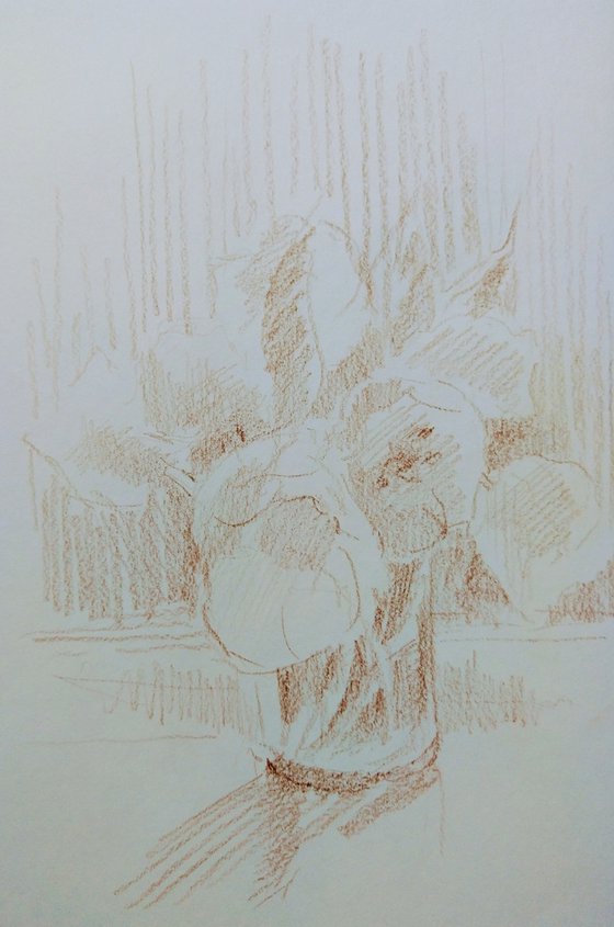 Tulipes #2. Original pencil drawing.
