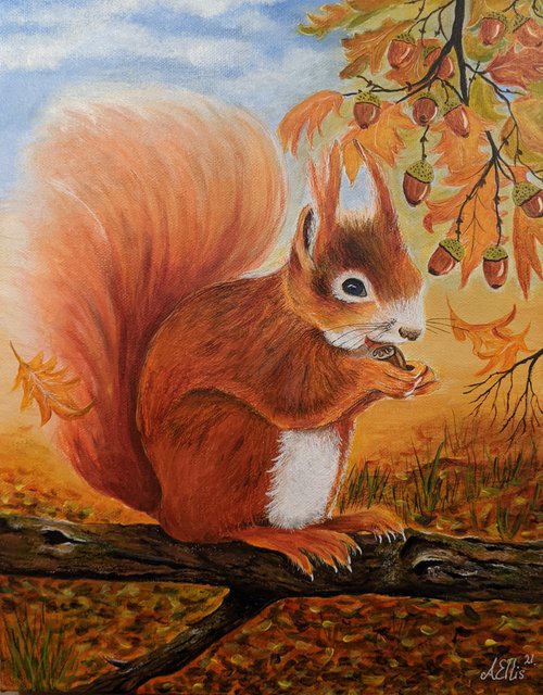 Cyril the Red Squirrel by Anne-Marie Ellis