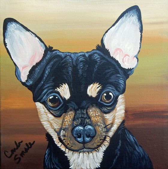 Tri Color Chihuahua Pet Dog Original Art Painting-8 x 8 Inches Deep Set Stretched Canvas-Carla Smale