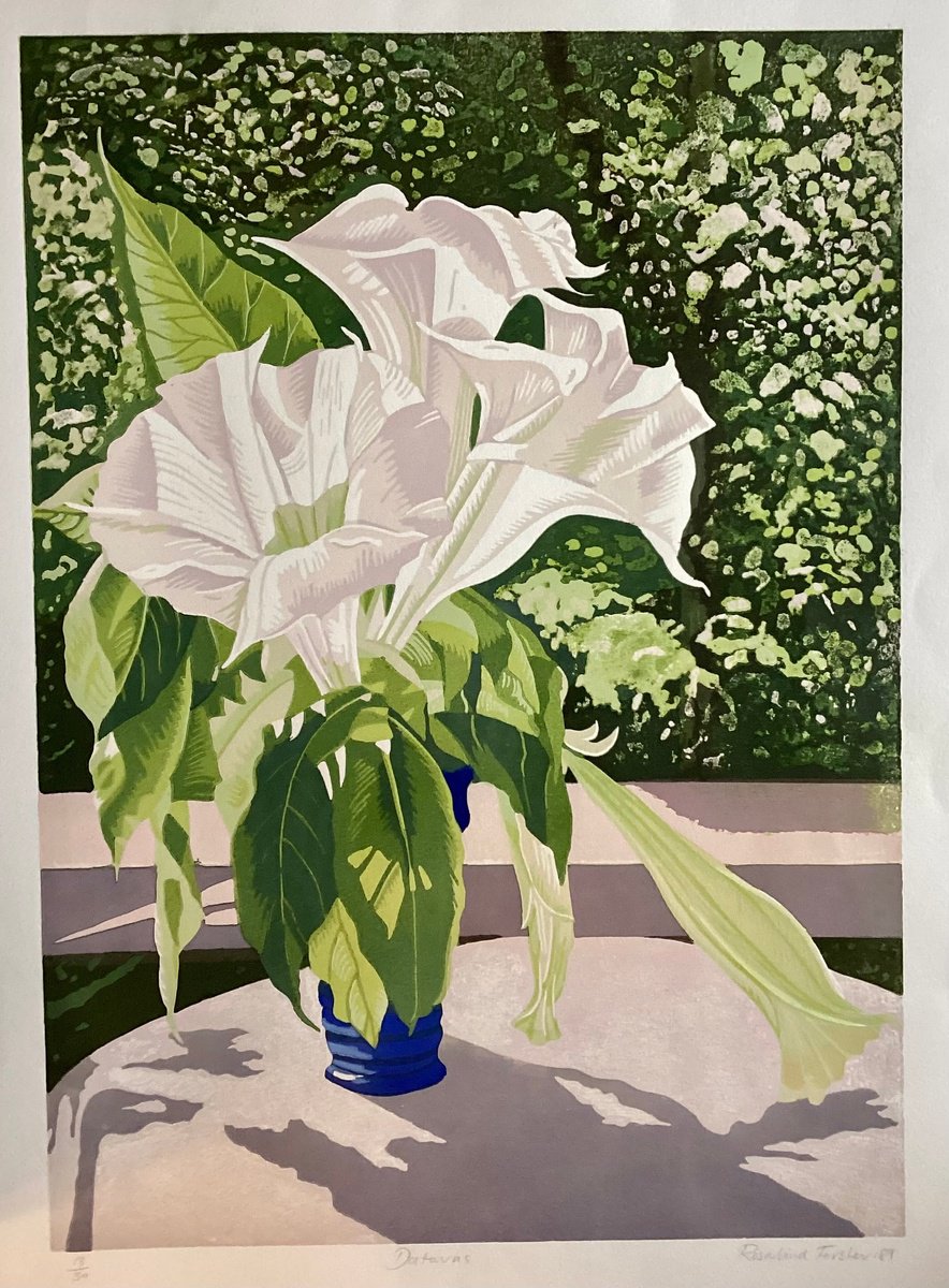 Daturas by Rosalind Forster