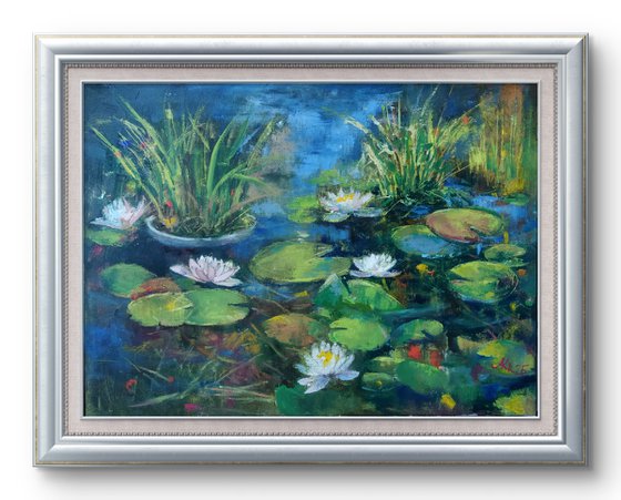 Water Lilies pond