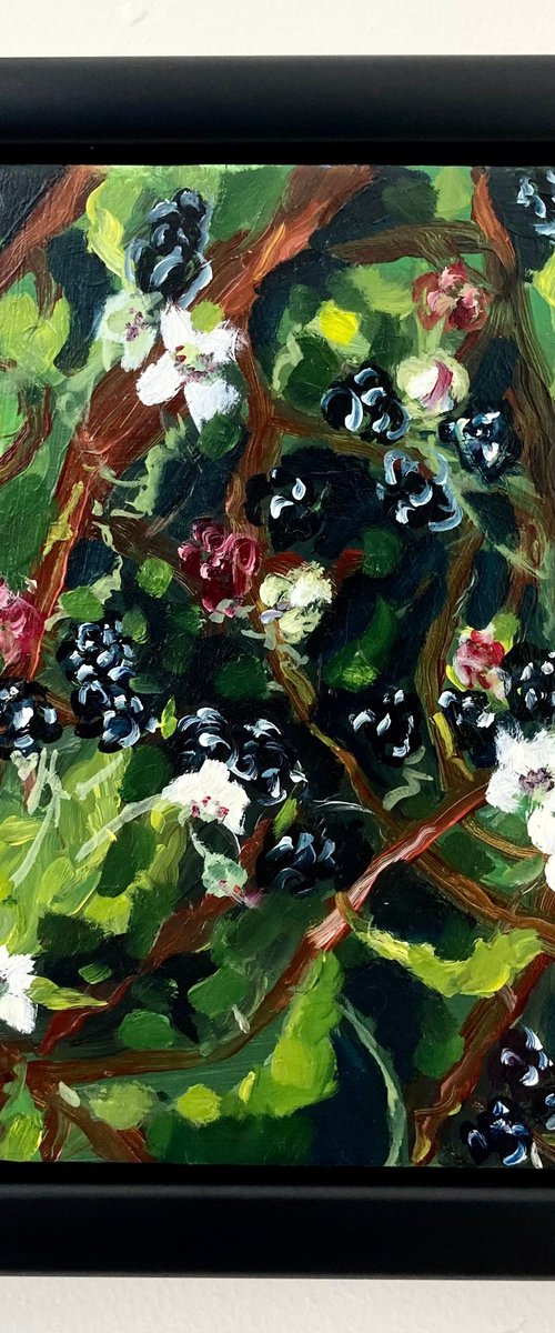 Blackberries and Brambles by Sarah Bale