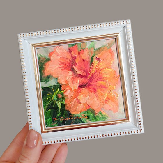 Hibiscus flower