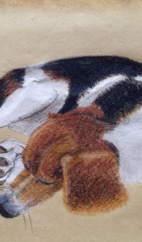 Let Sleeping Dogs Lie by David Lloyd