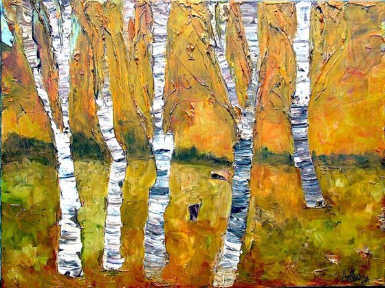 Birch Trees