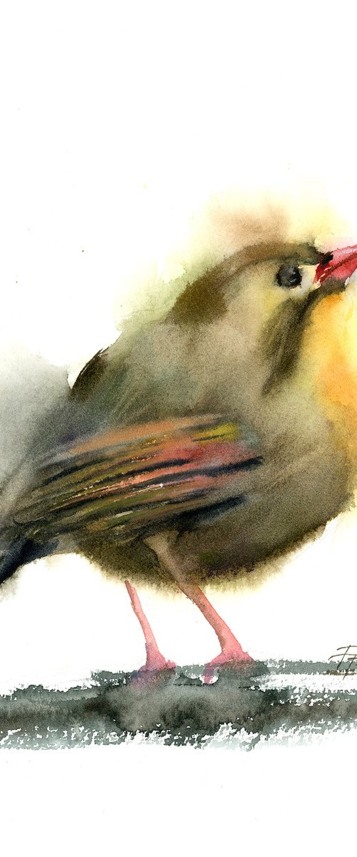 Red-billed leiothrix by Olga Tchefranov (Shefranov)