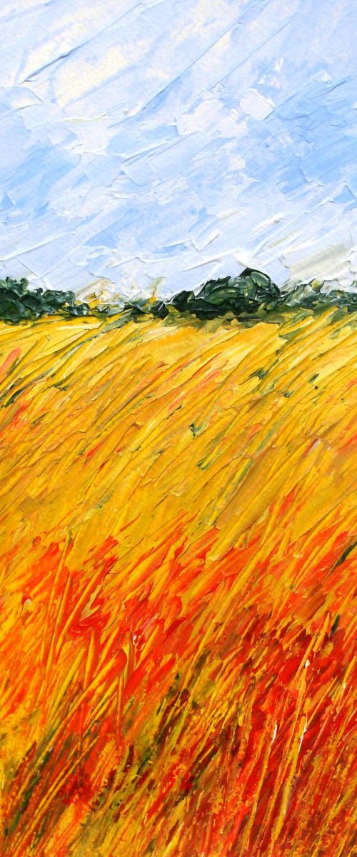 The Poppy Field by Jan Rippingham