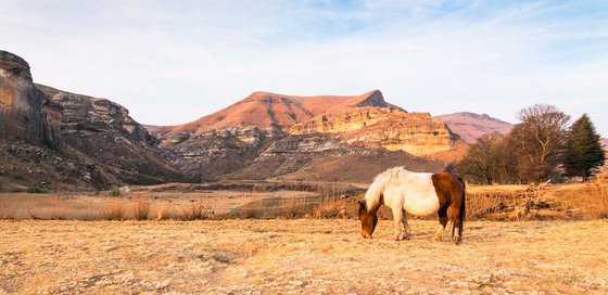 GOLDEN GATE NATIONAL PARK