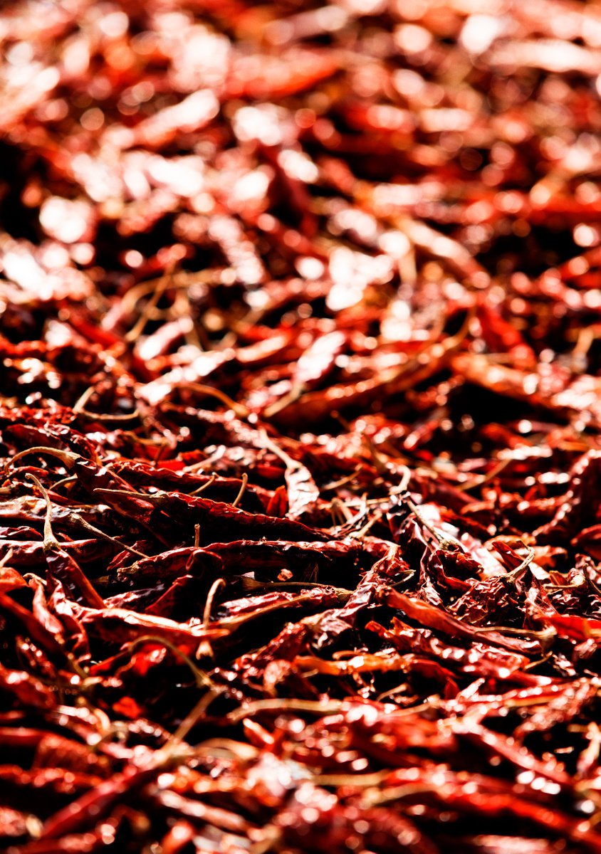 Organic Still Life Photograph By Tom Hanslien, 33 X 47", Drying Chillies, Original Artwork
