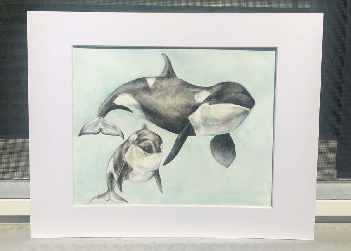 Orca Killer Whale Original Watercolor by Lauren Rogoff