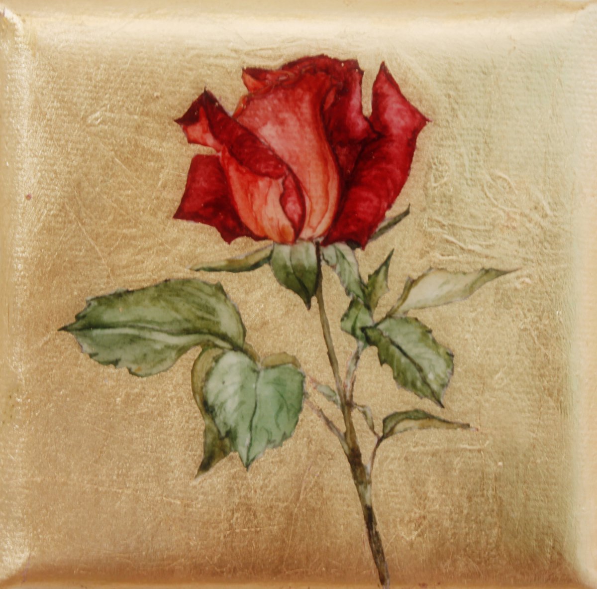You Send Me a Rose by Aurora Kanti