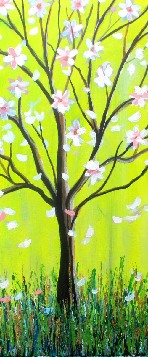 Magnolia Spring by Paul J Best