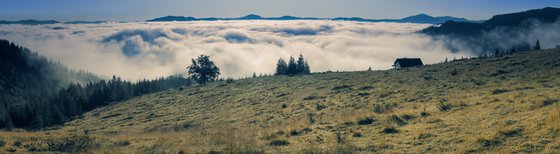 Covered in morning fog.