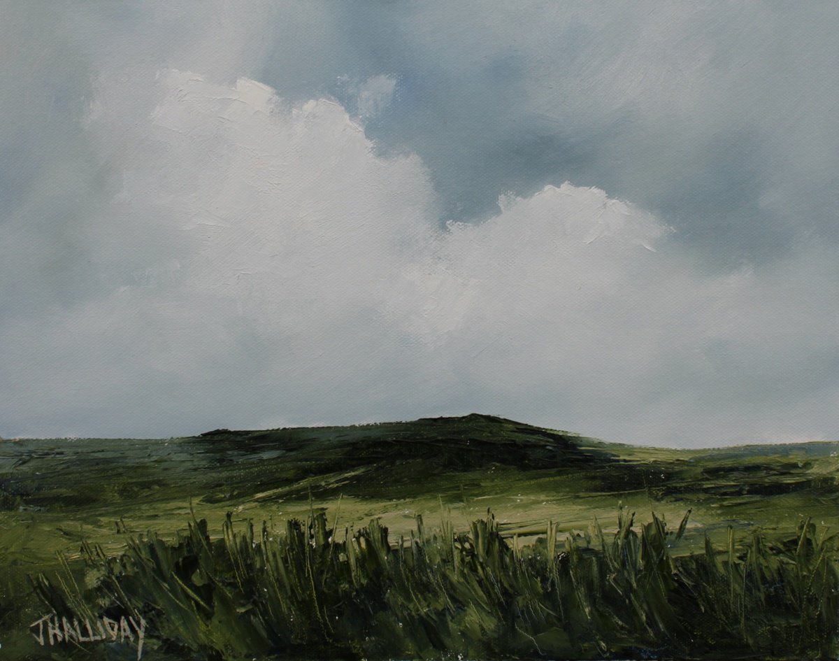 Grassland, Irish Landscape by John Halliday