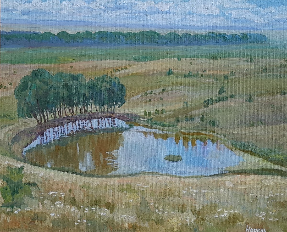Pond in the field - Original oil painting (2019) by Svetlana Norel