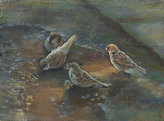 Sparrows Gathering