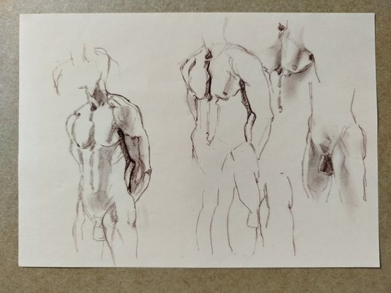 Sketch 15