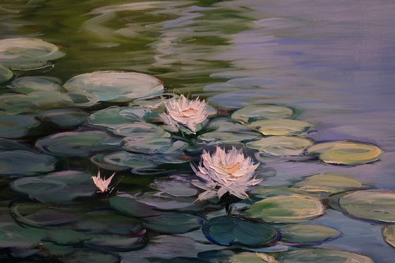 "Water lilies"