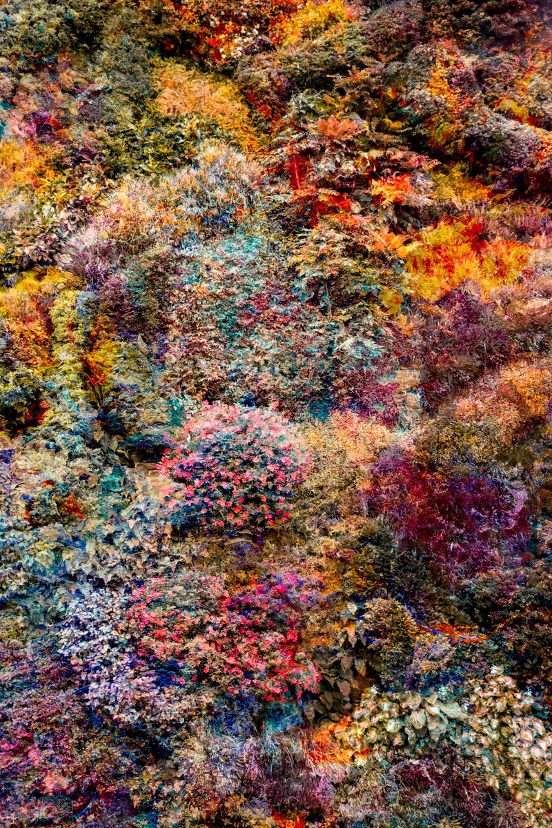 Impressionistic Botanical Photograph By Viet Ha Tran, 24 X 32", Wall Of Nature Lvi (Framed), Original Artwork