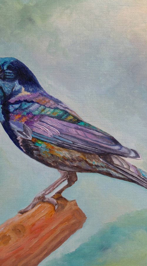 Dressed In Lights Common Grackle by Angeles M. Pomata