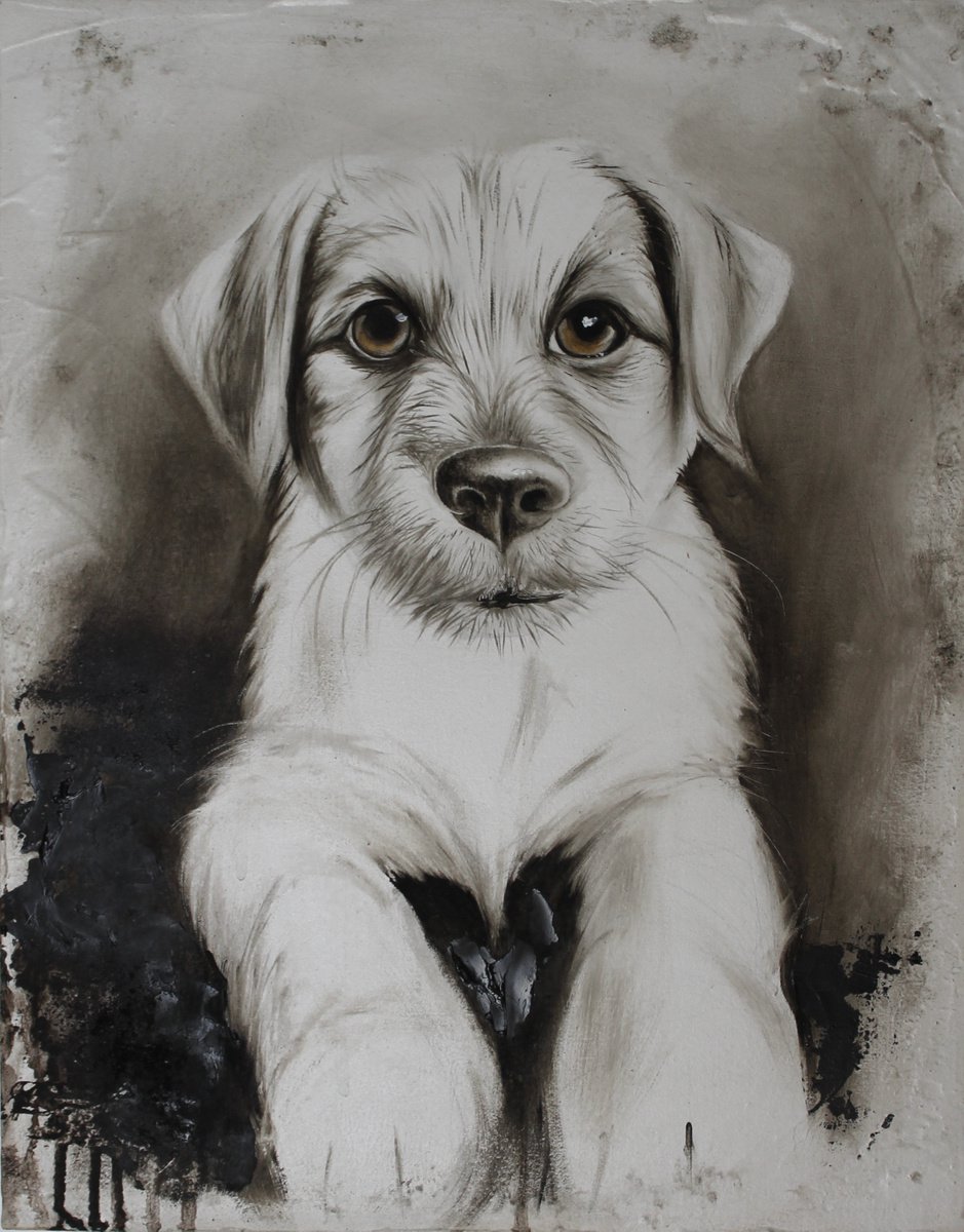 Animal Oil Painting By Nicoletta Bagatti, 12 X 16", Pice