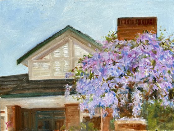 Wisteria season