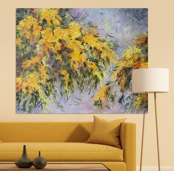 Mimosa