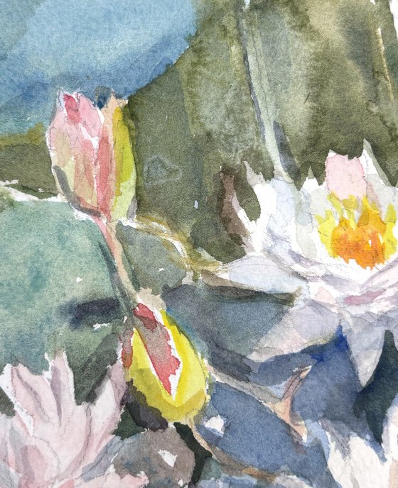 Jade water lily