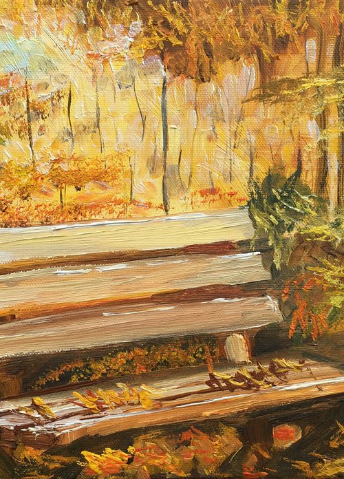 Autumn bench by Elena Sokolova