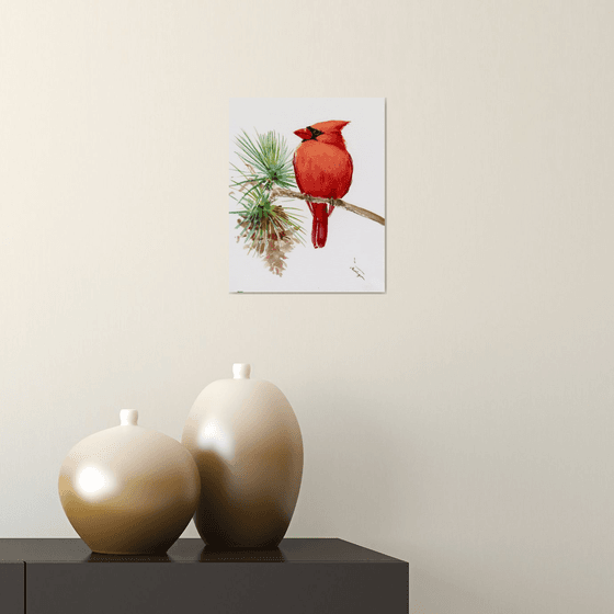 Red Cardinal Bird