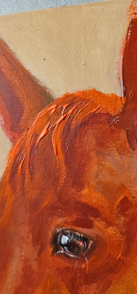 Orange chestnut horse profile
