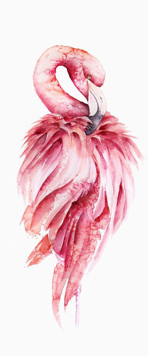 Pink flamingo art, wildlife, birds watercolours by Karolina Kijak
